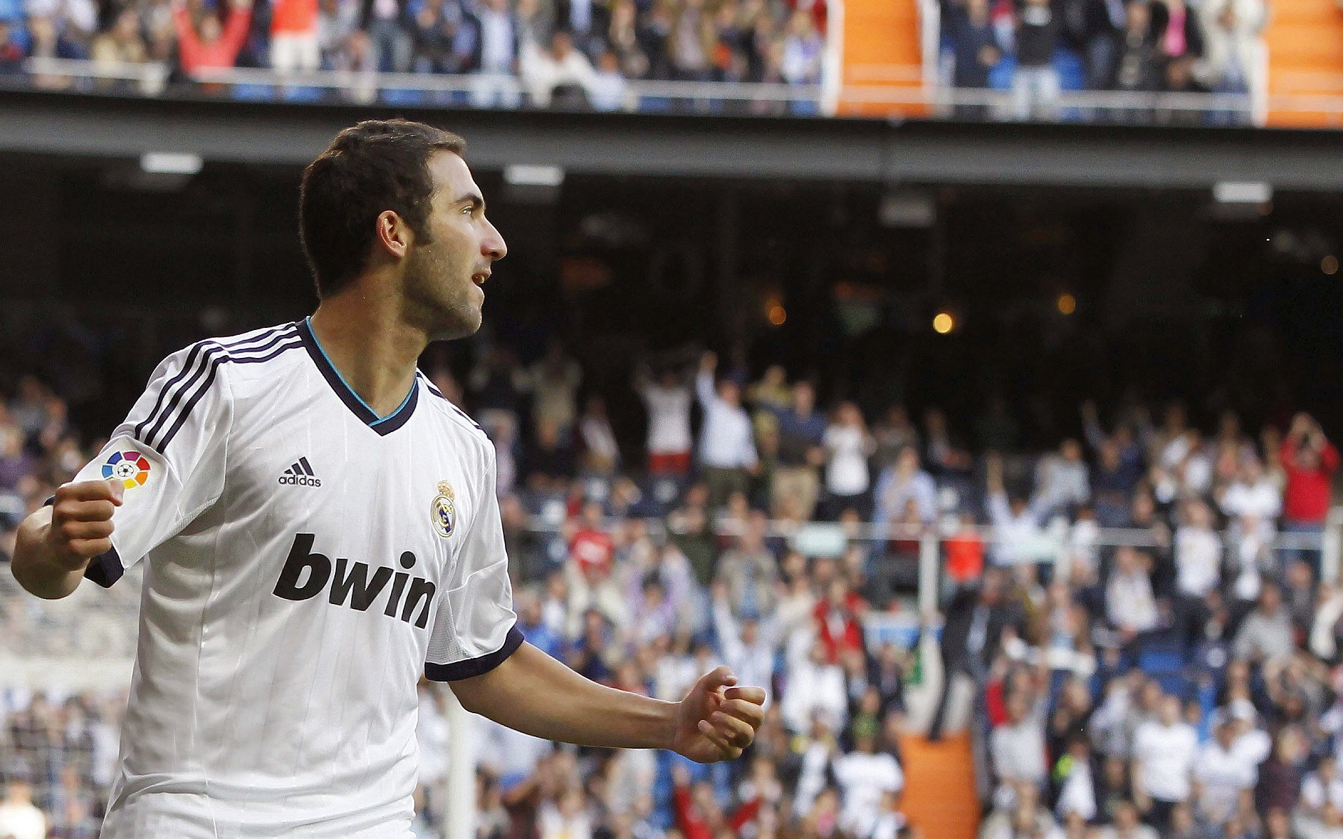 2026体育赛事焦点分析，2022体育赛事